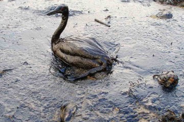 Land spills